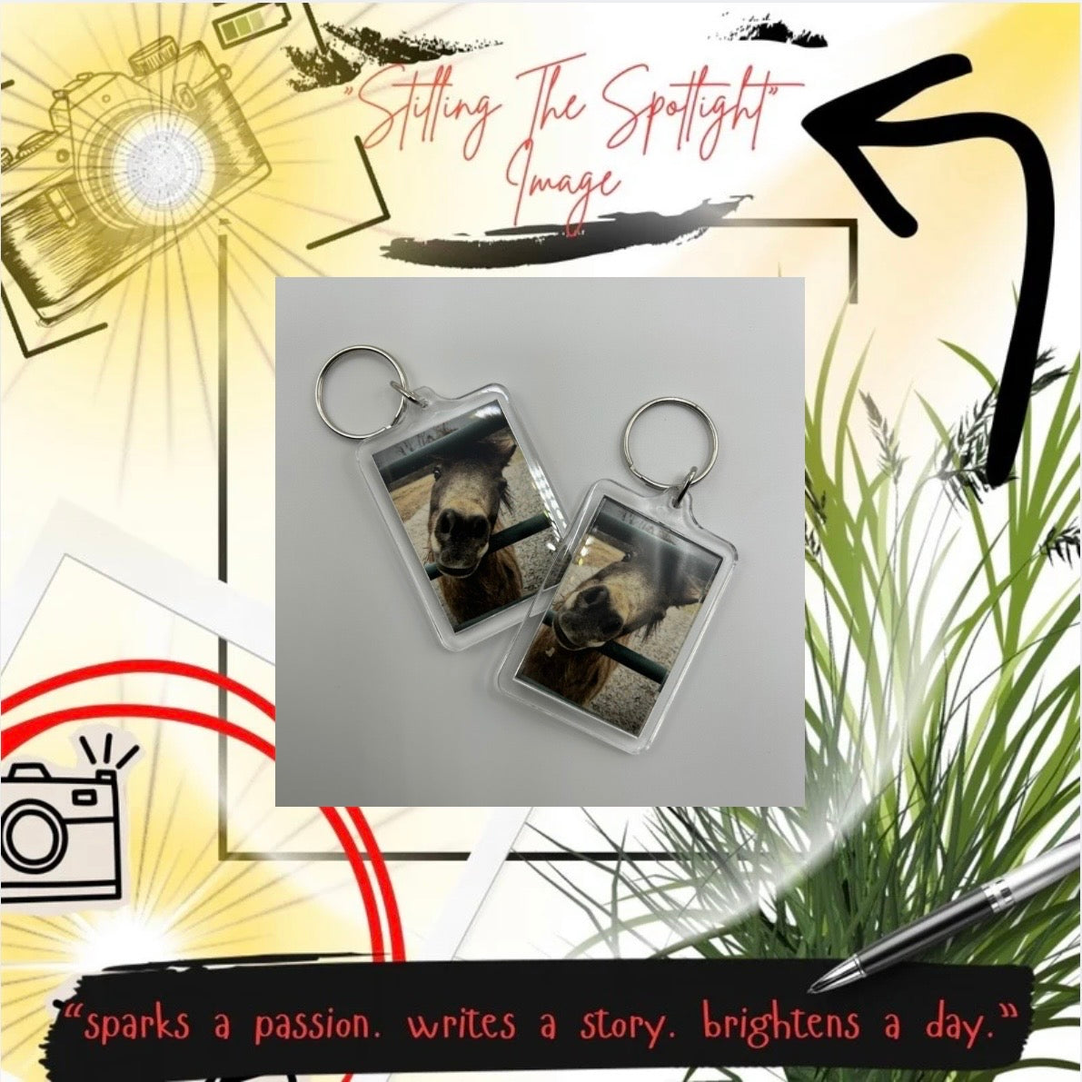 “stilling the spotlight” horses greeting rectangle keychain