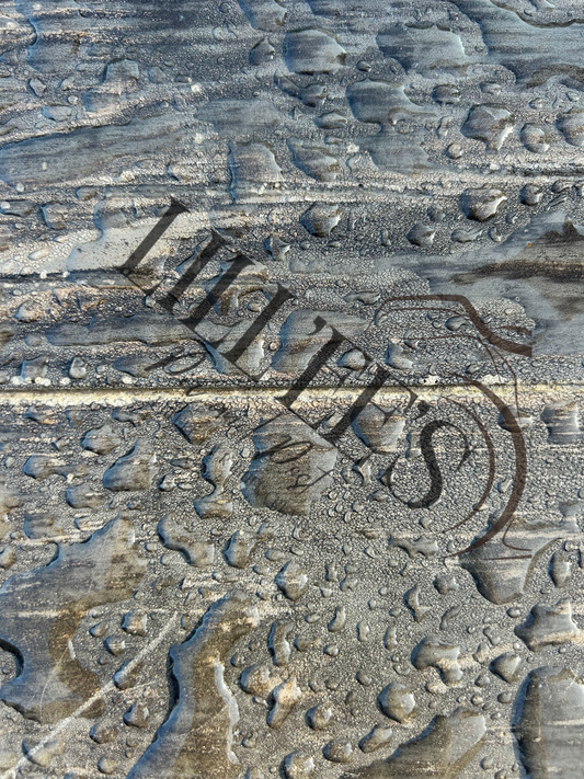 raindrop. rustic. outdoor. (4 by 6 photo)