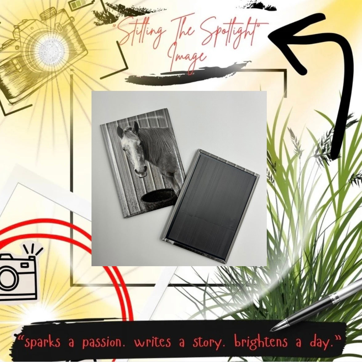 “stilling the spotlight” image horses sophistication 2.5 x 3.5 rectangle magnet