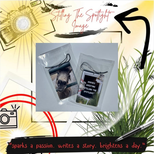 “Stilling The Spotlight” image Horses Greeting Car Air Freshener (lemon scent)