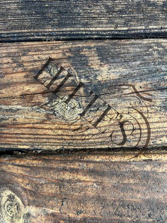 campfire. adventure. burnt wood.  (4 by 6 photo)