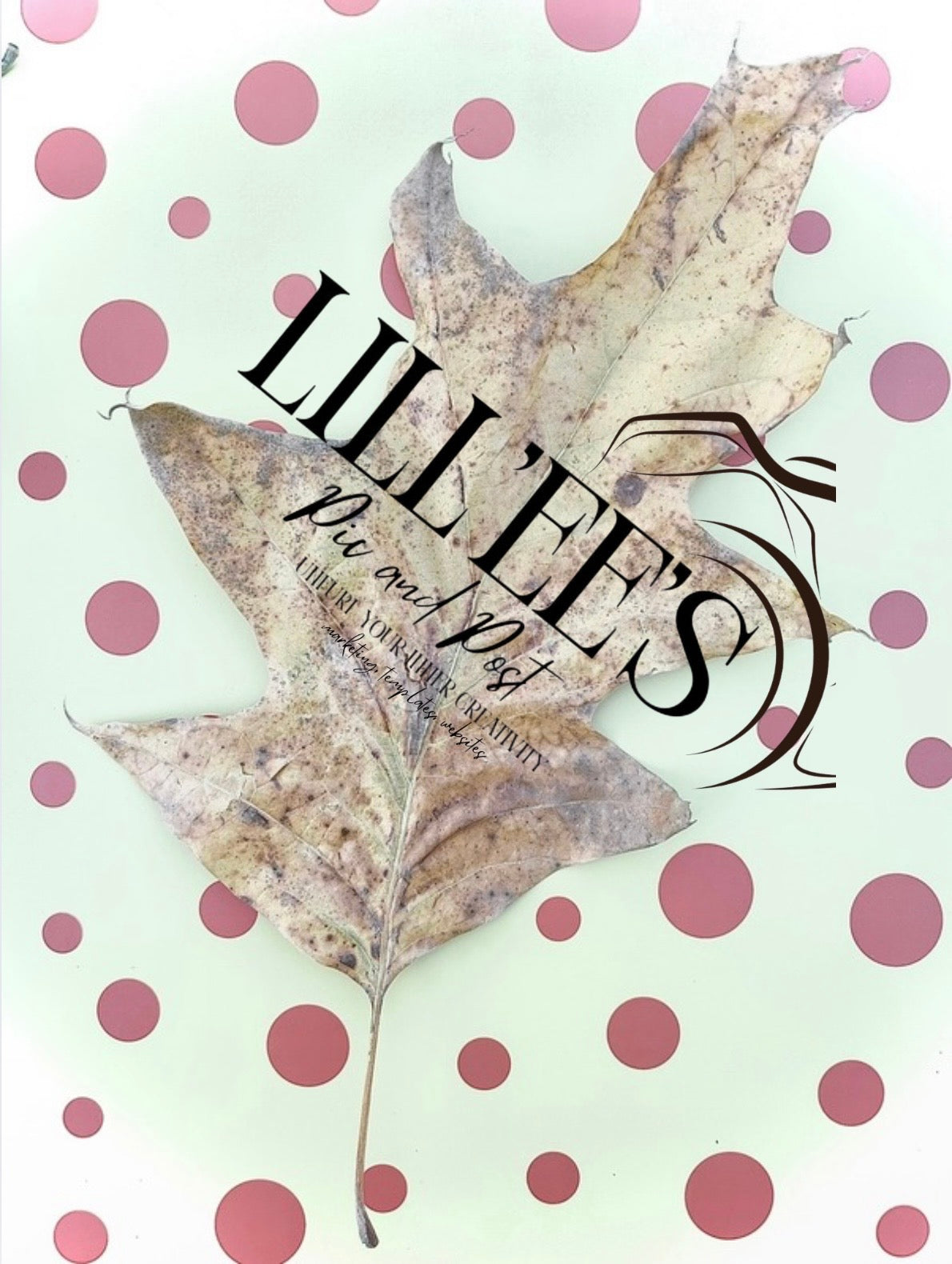 Polka Dot. Oversized Leaf. Fall Into Winter #2. (4 by 6 Photo)